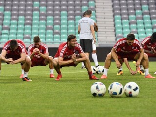 Trenčania v Ľubľane bez van Kessela. Podľa Ševelu majú alternatívy