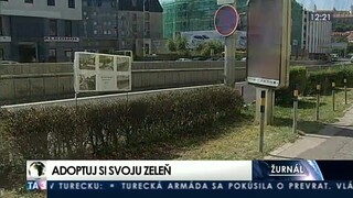 Keby si od Bratislavy adoptoval kríky, mohol ich zachrániť