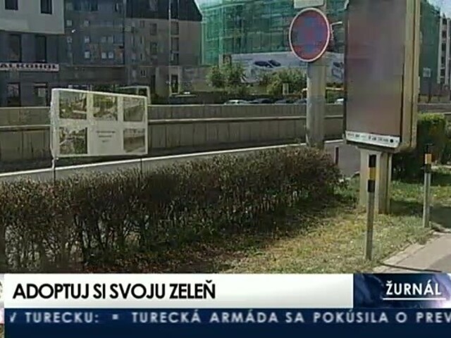 Keby si od Bratislavy adoptoval kríky, mohol ich zachrániť