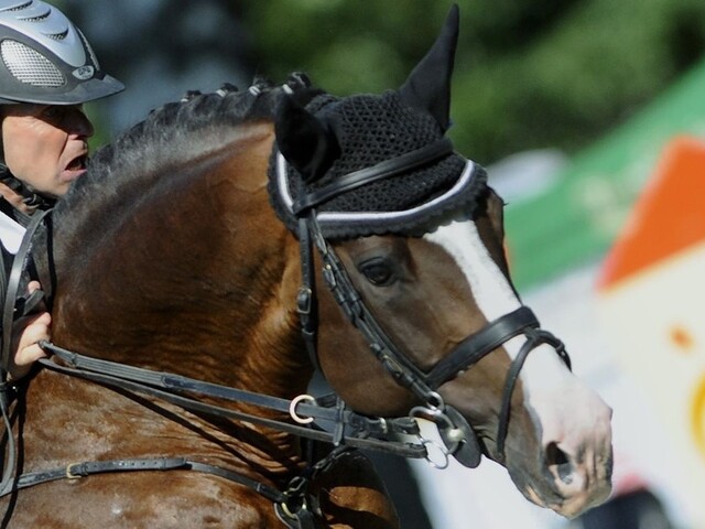 Priaznivci skokov na koni si prídu na svoje, začal bratislavský Grand Prix