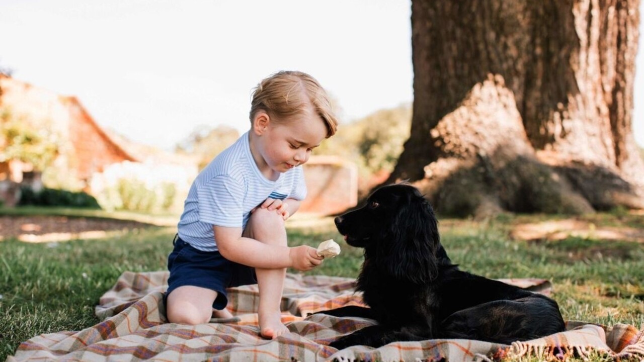 William a Kate zverejnili nové snímky princa Georgea, ktorý má 3 roky