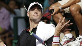 Isner vo Washingtone skončil, vo štvrťfinále nedokázal poraziť krajana
