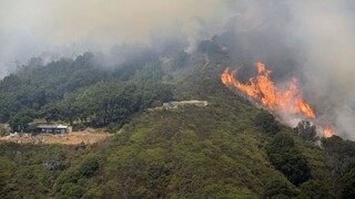 V Kalifornii zúria požiare, oheň spálil ranče aj lesy