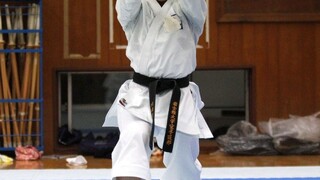 Ministrov ocenili japonskí majstri v karate, udelili im čestný dan