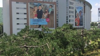 Bratislavčanov rozhorčili spílené stromy, ktoré bránili výhľadu na reklamu