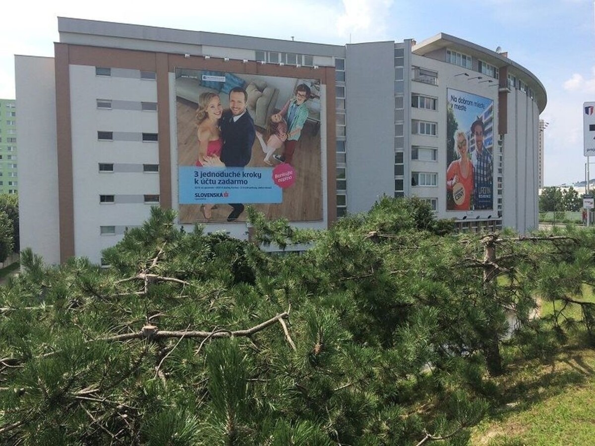 Bratislavčanov rozhorčili spílené stromy, ktoré bránili výhľadu na reklamu