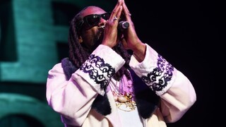 Na koncerte Snoop Dogga sa zranili desiatky ľudí, zrútila sa zábrana
