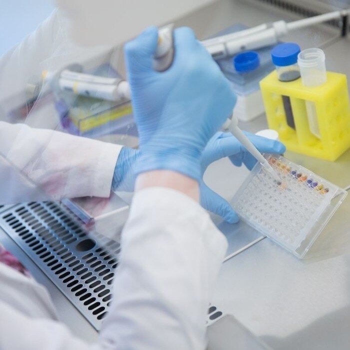 Armáda stále nepozná pôvod infekcie, najviac sa však spomína norovírus