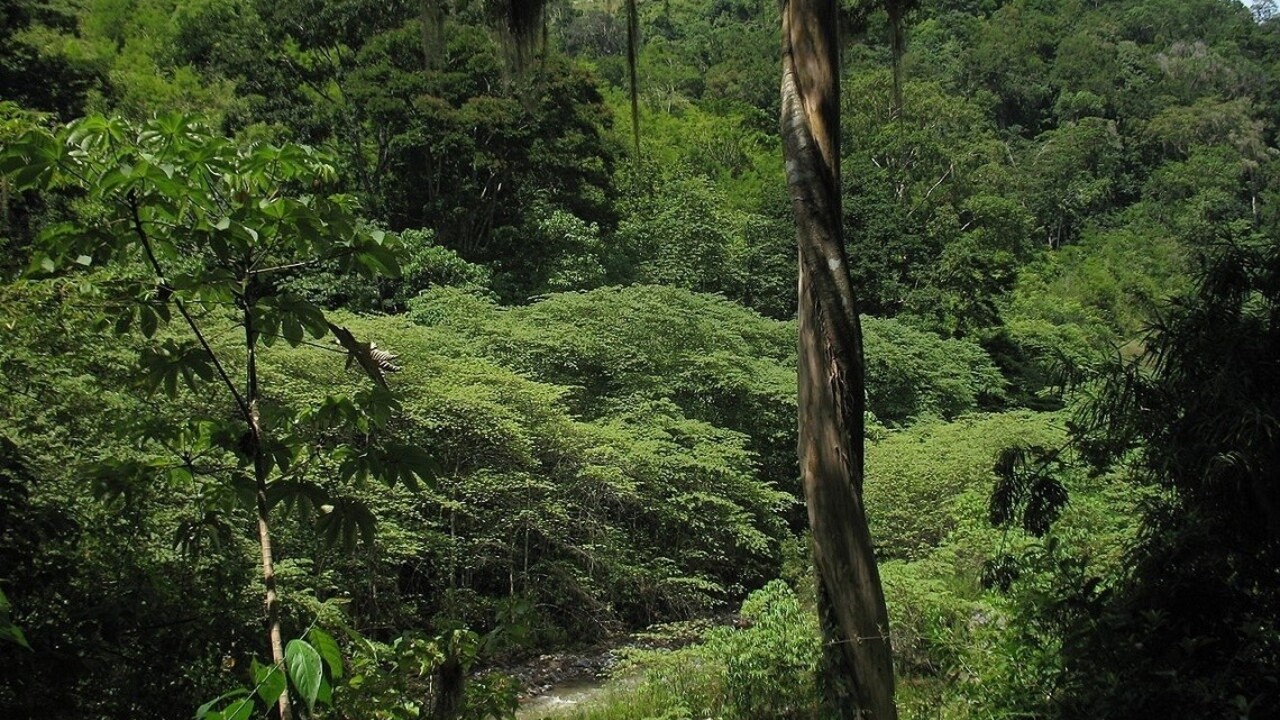 Havária ropovodu znečistila prales v Peru, už štvrtý raz tento rok