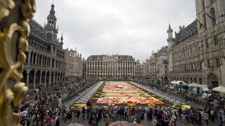 Na námestí v Bruseli rozkvitol koberec, tvoria ho státisíce begónií