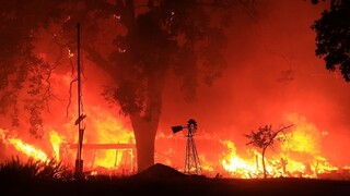 Údajná podpaľačka vypovedala pred súdom, mala založiť 15 požiarov