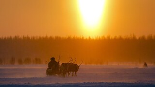 Staré hrozby na Sibíri čakajú na oteplenie, prvý zabíjal antrax