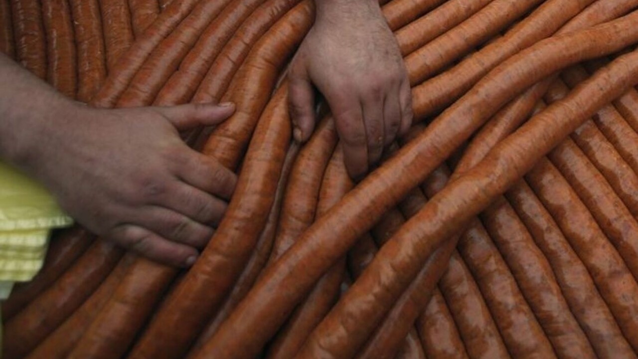 Nahnevaný Nemec poškodil auto mohutnou klobásou, hrozí mu pokuta