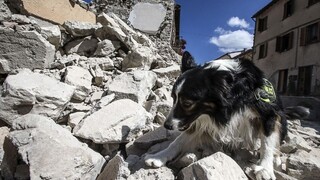 Počet obetí zemetrasenia sa zvýšil, Taliansko vyhlásilo štátny smútok