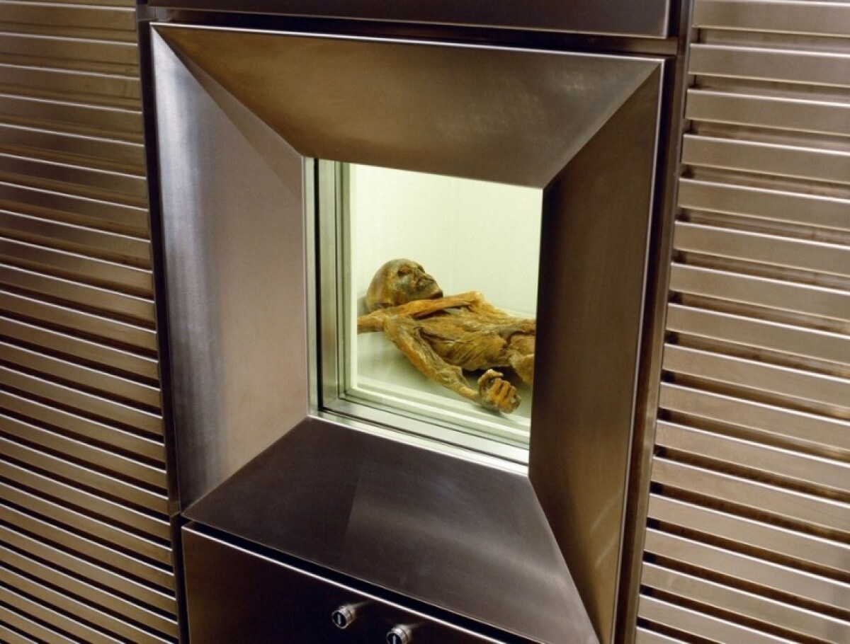 otzi-mumia_7501dc65.jpg