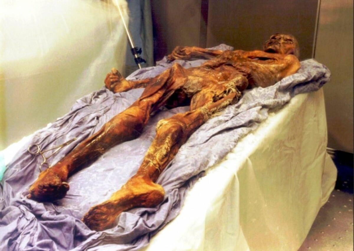 otzi2_a6abb30d.jpg