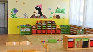 SaS sa obáva zániku jaslí, navrhuje zvýšiť príspevok na deti