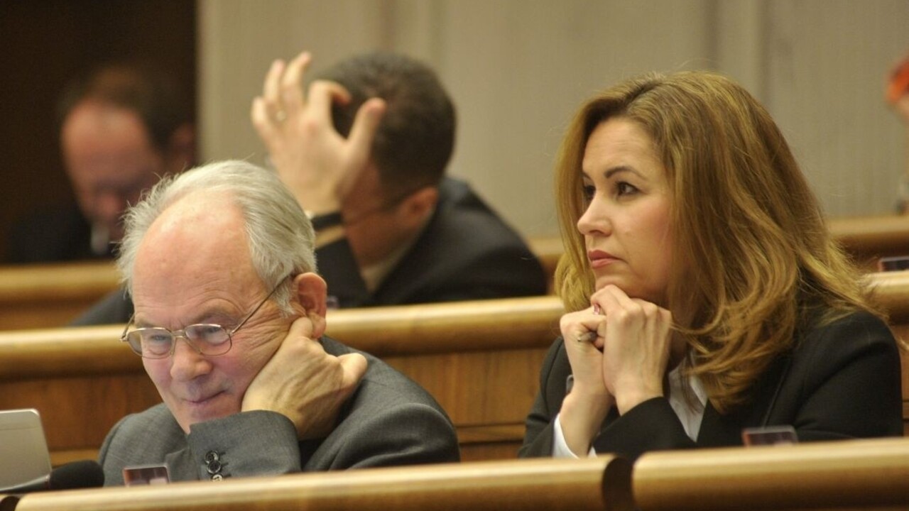 Prípad centra Čistý deň sa spolitizoval aj škandalizoval, tvrdí poslankyňa Pfundtner