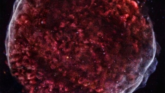 supernova-sn-1006_0a000002-084c-c80c.jpg