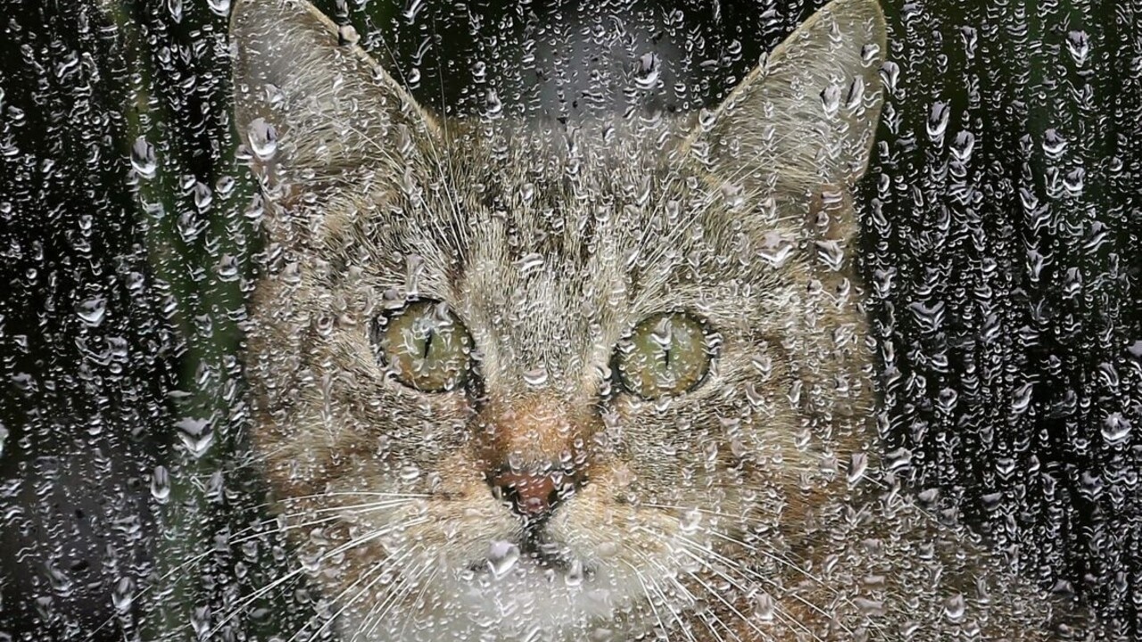 Slovensko zasiahli lejaky, v niektorých okresoch hrozia povodne