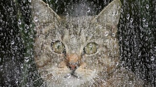 Slovensko zasiahli lejaky, v niektorých okresoch hrozia povodne