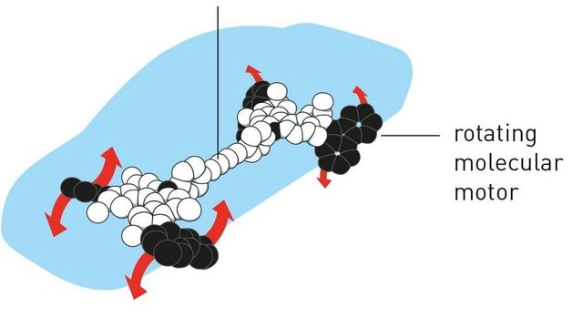 Výskum mikroskopických umelých strojov ocenili nobelovkou za chémiu