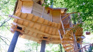 V Bratislave vybudovali nezvyčajný dom rovno v korunách stromov