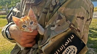 Mačkám v Islamskom štáte odzvonilo, bojovníkom ich zakázali