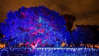 Fotogaléria: Do Bratislavy zavítala Biela noc, pozrite si ukážky inštalácií