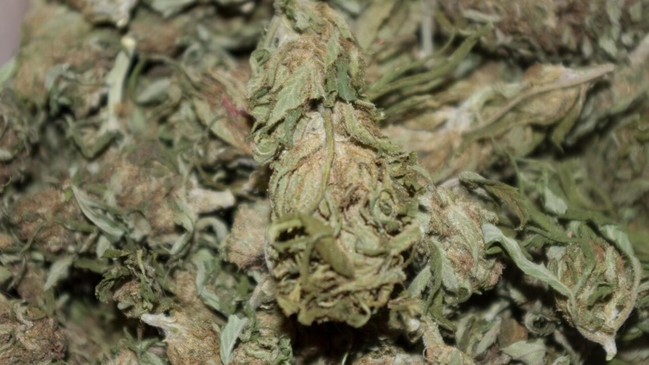 Slovák si zabudol v rakúskom vlaku marihuanu, požiadal o pomoc železnice