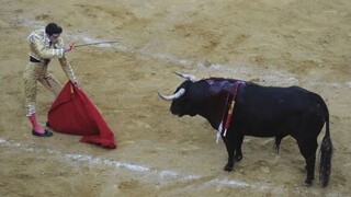 Býčie zápasy v Katalánsku budú pokračovať, súd zákaz zrušil
