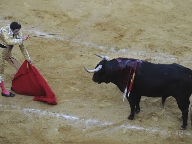 Býčie zápasy v Katalánsku budú pokračovať, súd zákaz zrušil