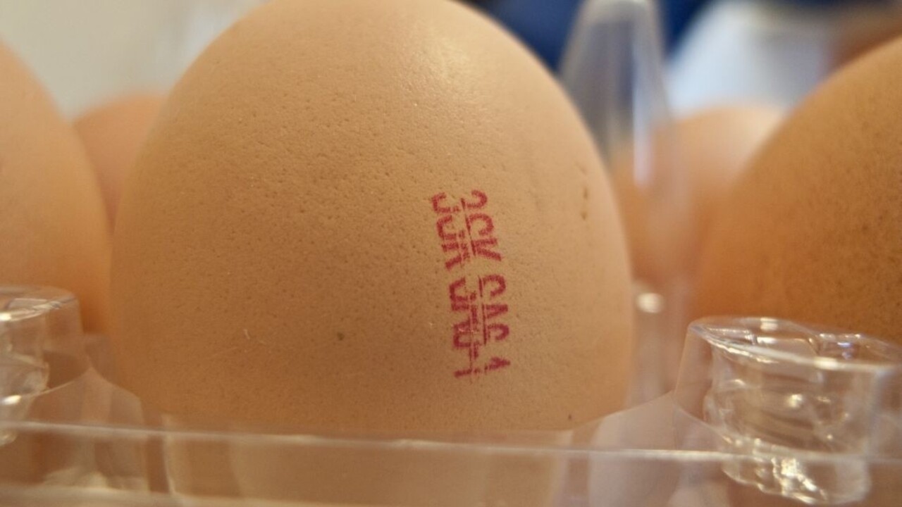 V Česku z trhu sťahujú milióny vajec, poľský výrobca má problém