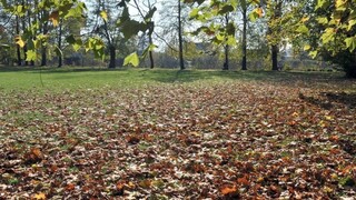 Obyvatelia Svrčinovca prišli o pozemky, zvažujú hromadnú žalobu