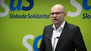 Sulíkovci predstavili víziu do roku 2024, na toto sa chcú zamerať