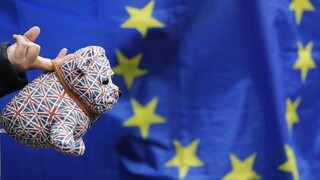 Líder labouristov vyzval Mayovú k zverejneniu plánov Brexitu