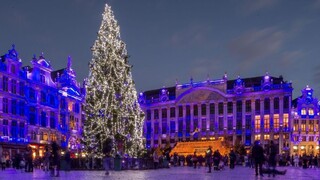 Bruselské námestie bude zdobiť vianočný stromček zo Slovenska