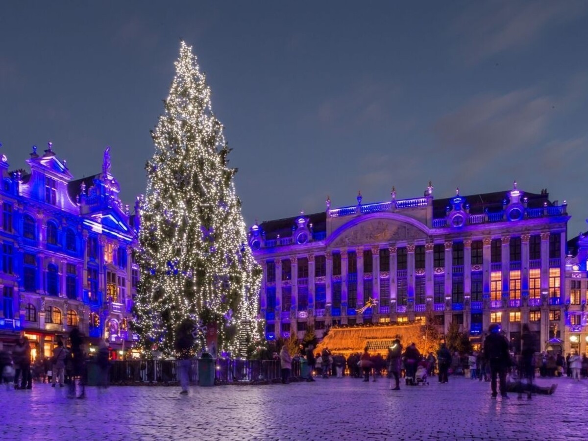 Bruselské námestie bude zdobiť vianočný stromček zo Slovenska