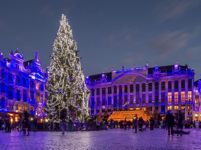 Bruselské námestie bude zdobiť vianočný stromček zo Slovenska
