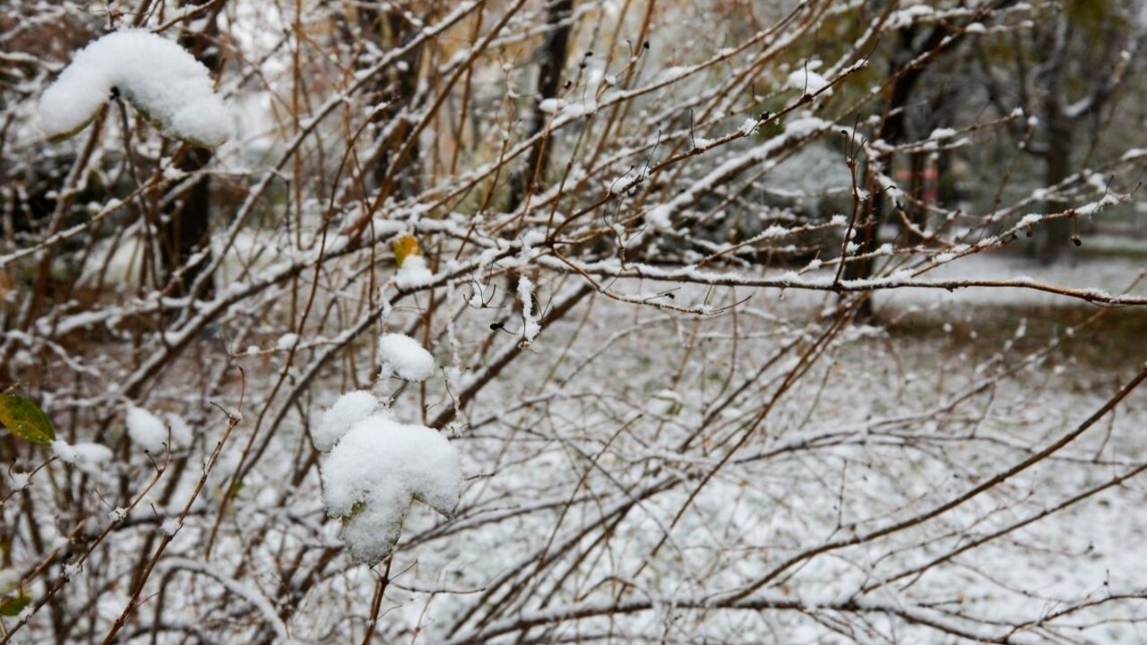 sneh sneženie mráz zima 1140px ( SITA/Marek Mrviš)