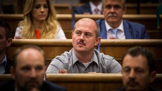 Kotlebovci chcú povoliť občanom efektívnejšie zbrane na ochranu