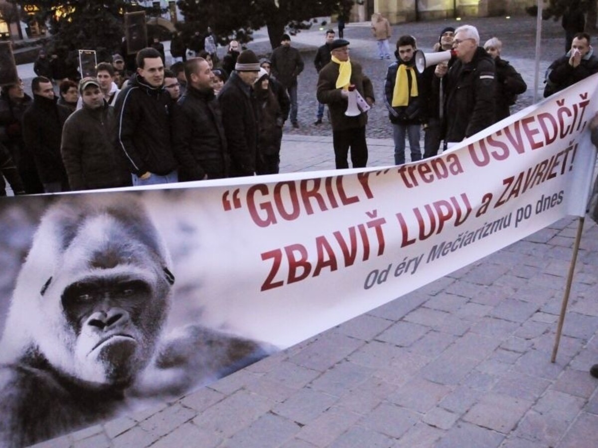Tím na vyšetrovanie Gorily pokračuje, vybrali mu nového šéfa