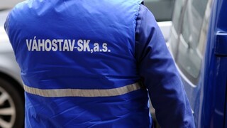 Protischránkový zákon možno neukáže pozadie Váhostavu, tvrdí Žitňanská