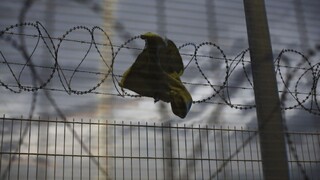 V4 chce koordinovať kroky pri migrácii, vytvorí krízové centrum