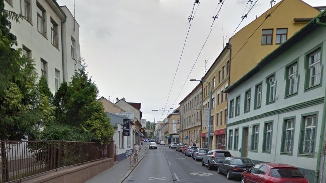 Psí kríženec v Bratislave dohrýzol ženu, majiteľovi hrozí väzenie