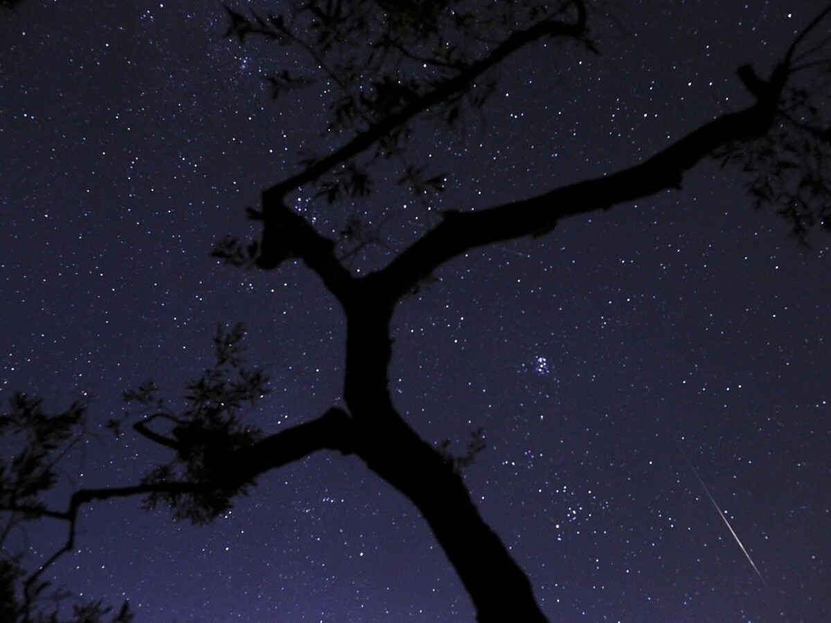 meteor perzeid 1140 px (SITA/AP)