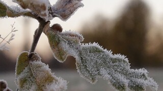 Čakajú nás tuhé mrazy, teploty klesnú až na mínus 19 stupňov