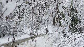 Mrazivé počasie v Poľsku zabíjalo. Vietor odpojil ľudí od elektriny