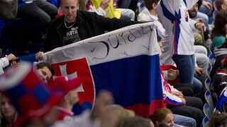 Hokejová dvadsiatka sa začne pripravovať na svetový šampionát