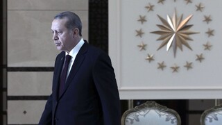 Erdogan by v novom tureckom systéme mohol vládnuť dekrétmi